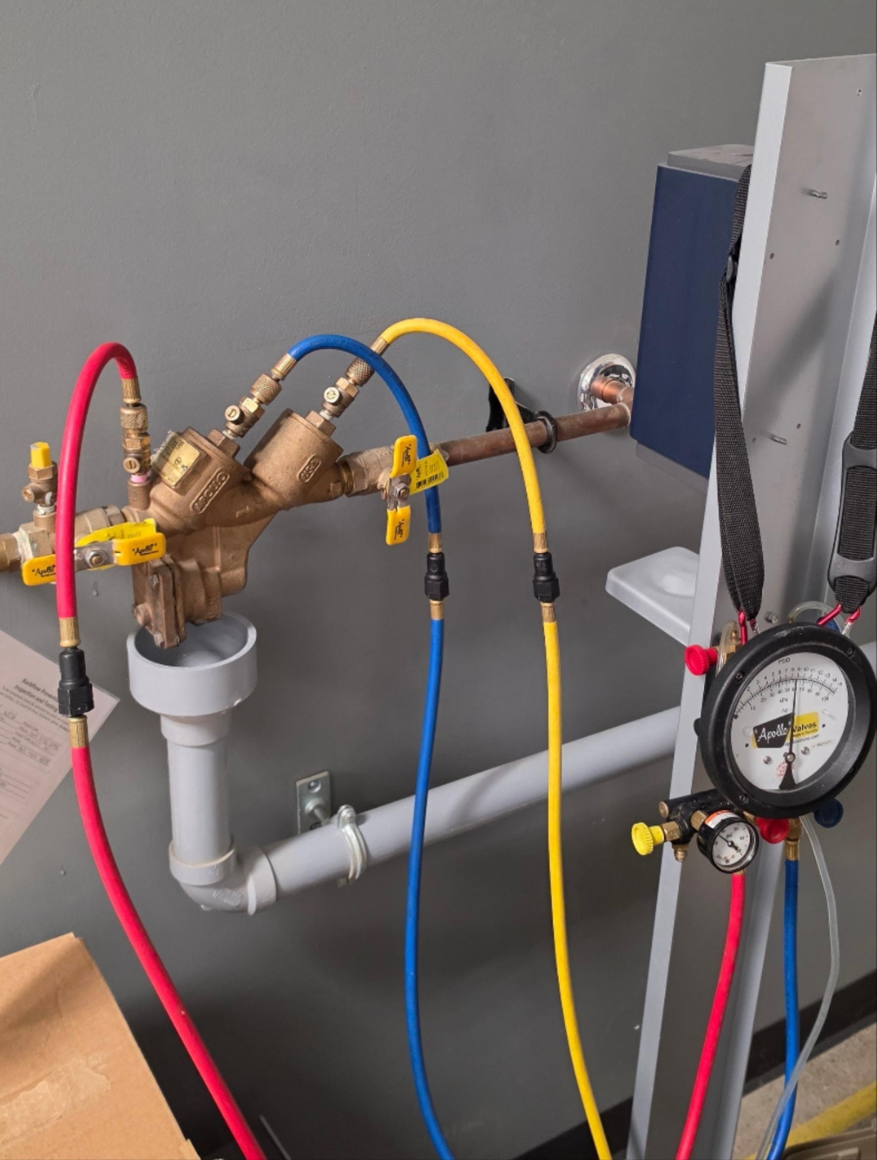 Backflow protector valve