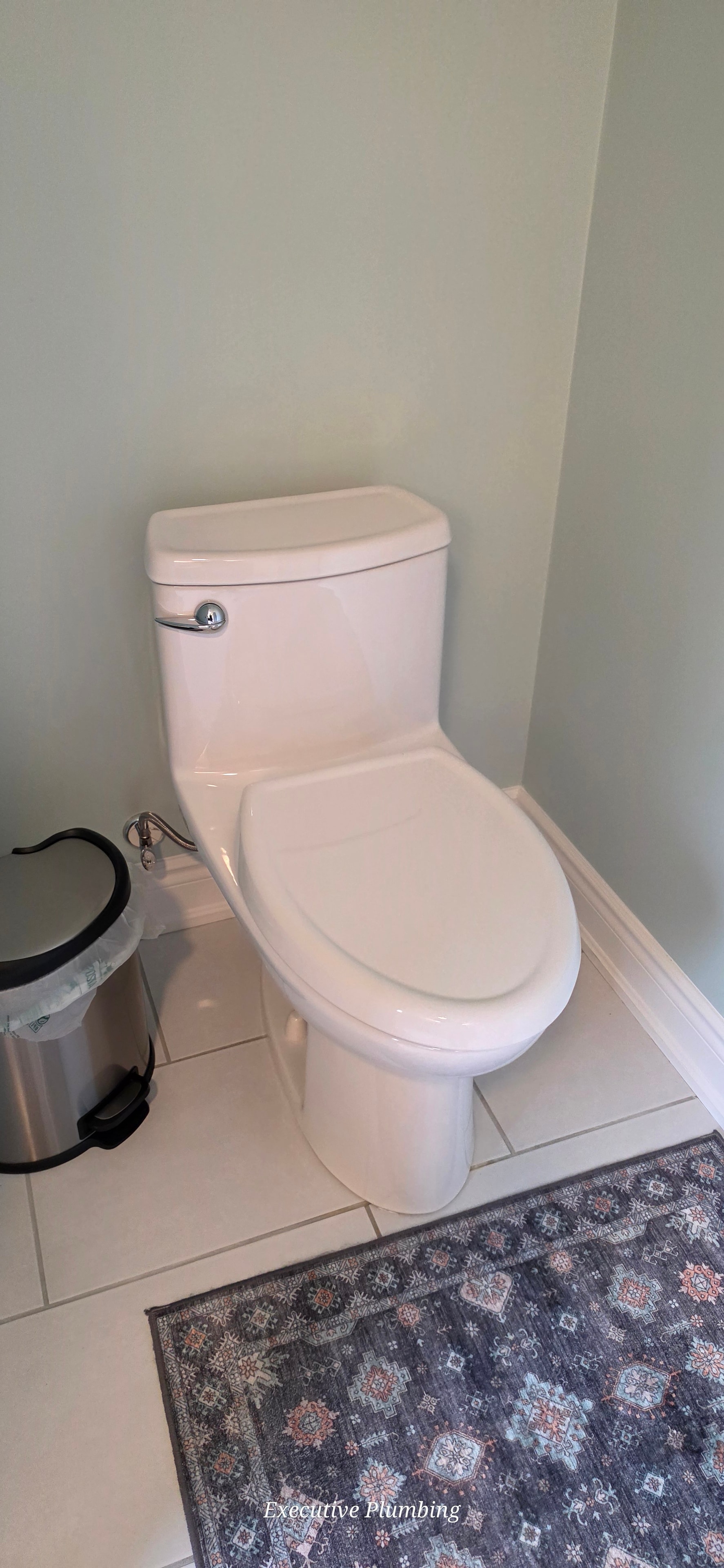 Toilet installation